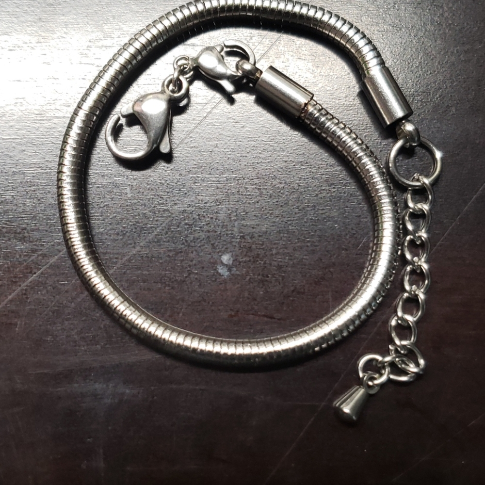 💋2/$12💋Snake Charm Bracelet in Stainless Steel